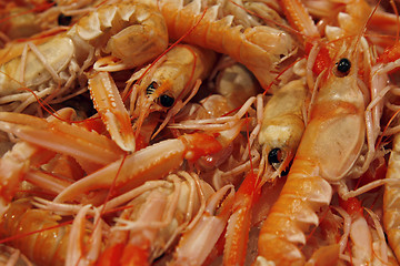 Image showing Raw fresh shrimps on the market