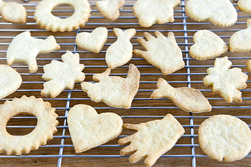 Image showing Cooling freshly baked cookies