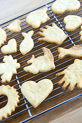 Image showing Cooling freshly baked cookies