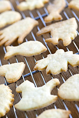 Image showing Cooling freshly baked cookies
