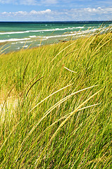 Image showing Sand dunes at beach