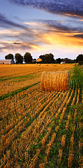 Image showing Golden sunset over farm field