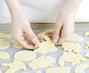 Image showing Baking sheet with cookies