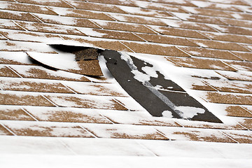 Image showing Winter Damaged Roof Shingles