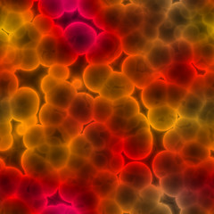 Image showing 3D Cells