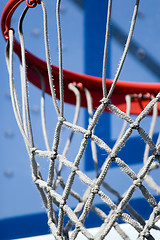 Image showing Basketball Hoop and Net