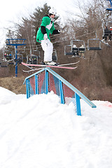 Image showing Freestyle Skiing