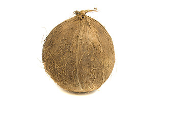 Image showing fresh organic coconut