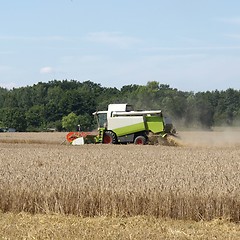 Image showing Harvest