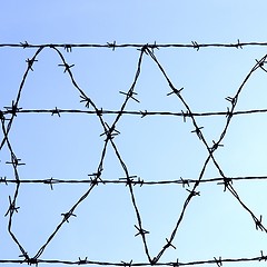 Image showing Barbed wire