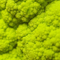 Image showing Cauliflower