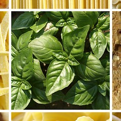 Image showing Italian food collage