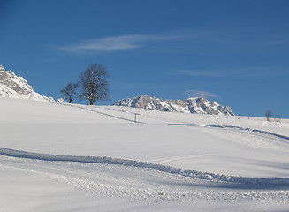 Image showing Winterfield