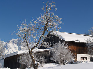 Image showing Winterfarm