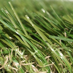 Image showing Artificial grass