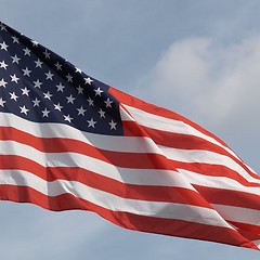 Image showing USA flag