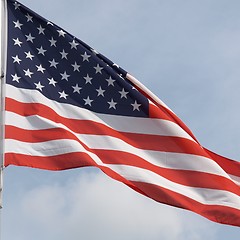 Image showing USA flag