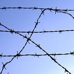 Image showing Barbed wire