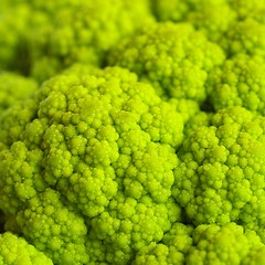 Image showing Cauliflower