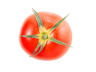 Image showing Tomato