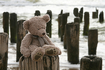Image showing Teddy Bear by sea