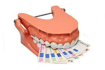 Image showing Teeth model