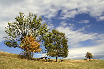 Image showing autumn time