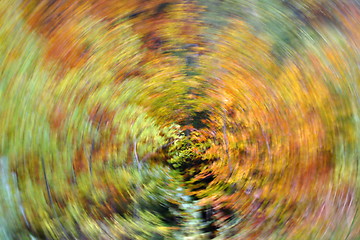 Image showing abstract autumn time