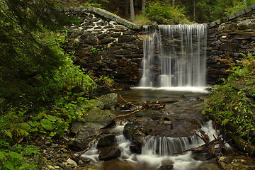 Image showing forest waterfal