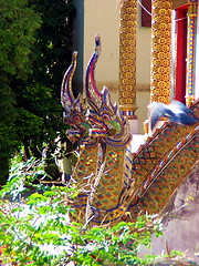 Image showing The dragons. Chiang Mai. Thailand