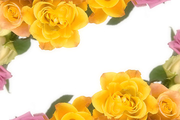 Image showing Pink and yellow roses
