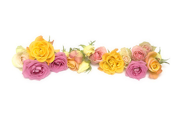 Image showing Pink and yellow roses