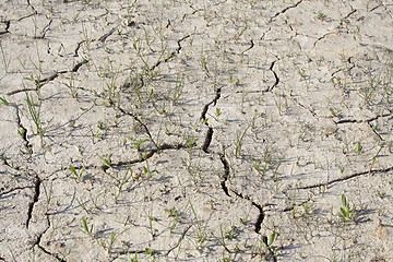 Image showing dry earth