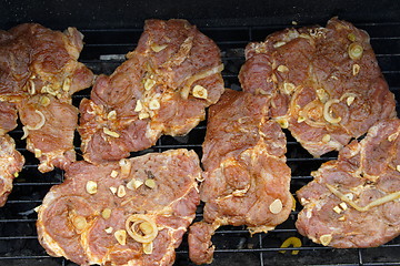 Image showing  meat grill