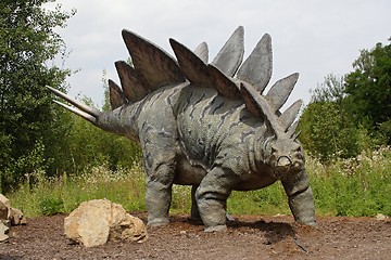 Image showing stegosaurus