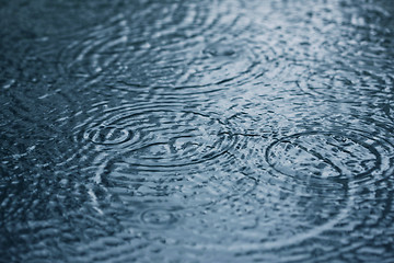 Image showing Raindrops
