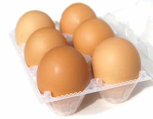 Image showing Eggs