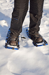Image showing Walking with snow rackets.