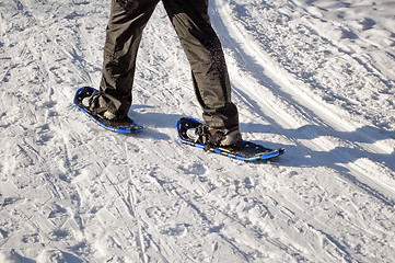 Image showing Walking with snow rackets.