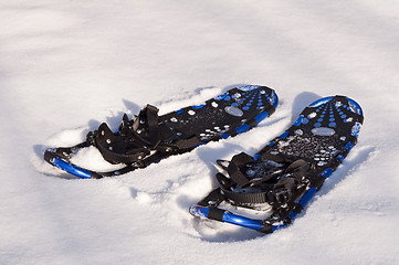 Image showing Snow rackets