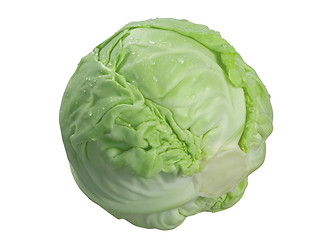 Image showing Cabbage