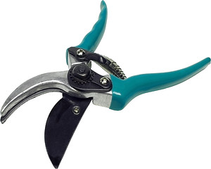 Image showing Scissors