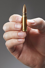 Image showing Ammo