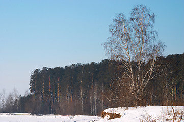 Image showing Winter landscape