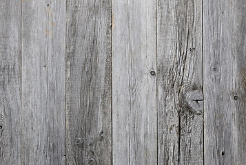 Image showing Grey wood