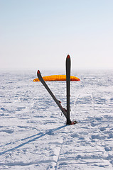 Image showing Waiting wind