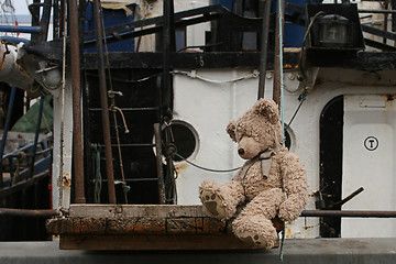 Image showing Teddy Bear Sailor