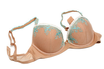 Image showing Beige bra with blue embroidery