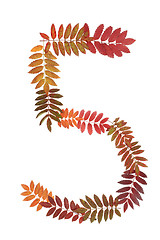 Image showing Numeral five 5 put from autumn sheet