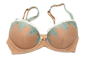 Image showing Beige bra with blue embroidery